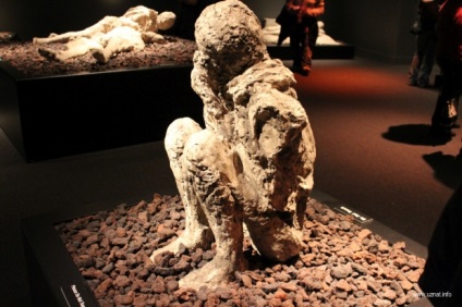 Fagyasztott emberek Pompeii (19 fotó)