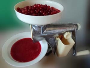 Jelly din coacăz roșu (rețetele bunicii)