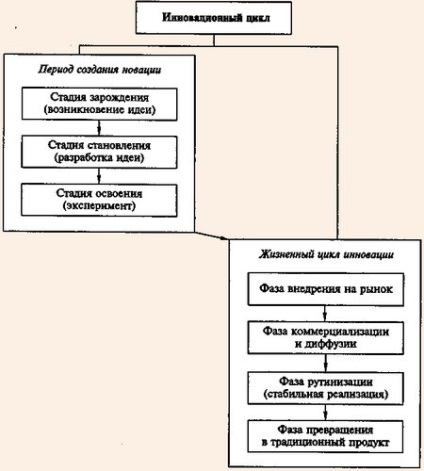 Ciclu de viață și funcții de inovație