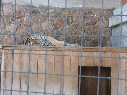 Grădina zoologică, programul de lucru Chelyabinsk, prețul biletelor, adresa și fotografia