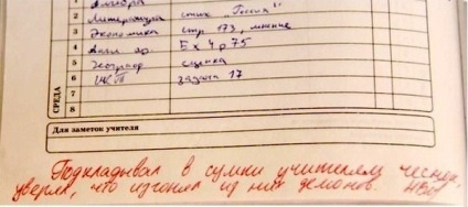 22 Записи в щоденниках, які нагадають про чудесні шкільні роки