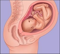 9 luni de sarcină - Clubul mamei