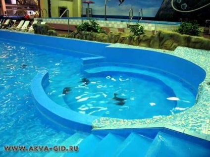 Aquapark 