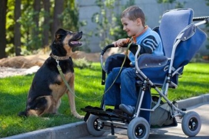 Terapia pe animale ce este, ce este terapia cu animale de companie, care este tratamentul animalelor, beneficiile pentru copii