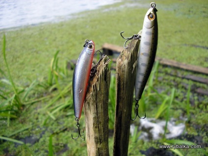 Bezolopastnye wobblers, blogul lui sbodnya, o rețea socială de pescari și vânători