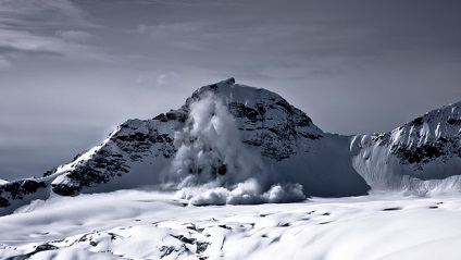 Decesul lui Bivouac, revista birdy