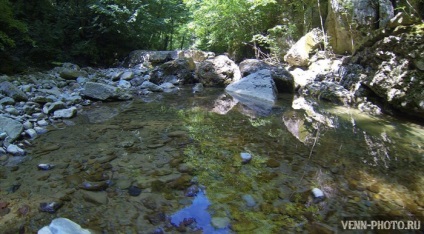 Descriere fantaniană (stalactită) și pisică, fotografie