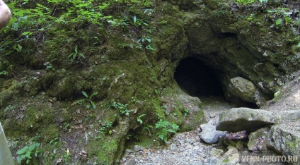 Descriere fantaniană (stalactită) și pisică, fotografie