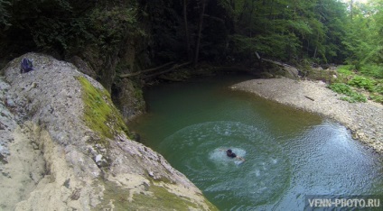 Descriere fantaniană (stalactită) și pisică, fotografie