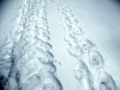 Ce să faci în timpul iernii pe stradă joacă cu zăpadă, Rybinsk