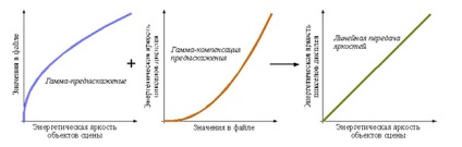 Ce reprezintă curbele gamma și gamma