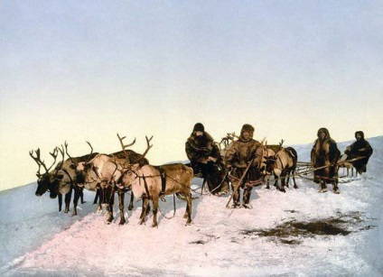 Sarkvidéki őslakos népek - orosz emigráns eszköz az orosz sarkvidéki
