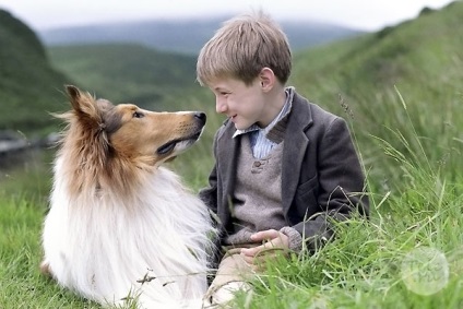 Viața sălbatică a unei duzini de cele mai renumite câini din cinematografie, recenzii de film, filme