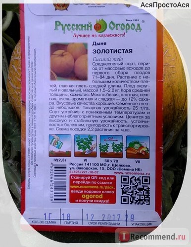Melonul este o grădină rusă aurie - 