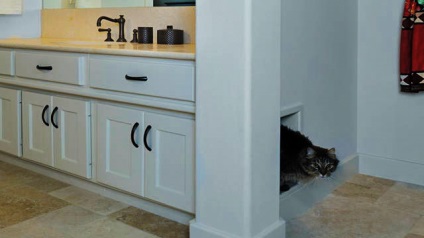 Design interior pentru proprietarul unei pisici