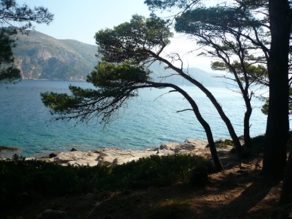 Dubrovnik (dubrovnik), croația - terminale de croazieră în port, cum să ajungi