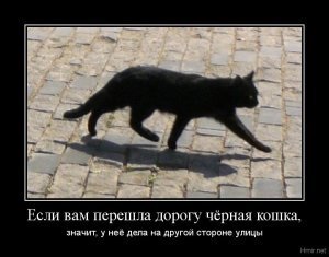 Dacă drumul a traversat pisica neagră, atunci - cum să terminați fraza cu sensul cistrc