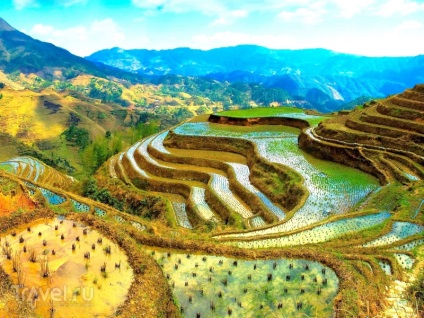 Terasele orezului Miracle din peisajele din Cordillera