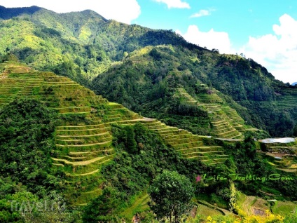 Terasele orezului Miracle din peisajele din Cordillera