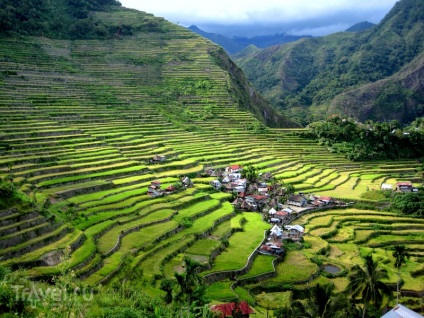 Terasele orezului Miracle din peisajele din Cordillera