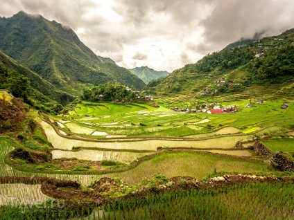 Terasele orezului Miracle din peisajele din Cordillera