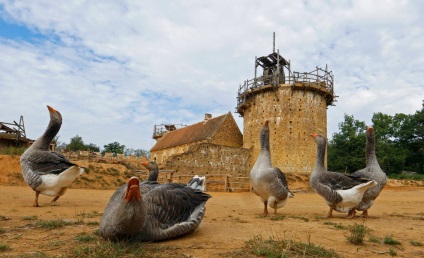 Gedelon sau cum să construiască un castel, știri despre fotografii