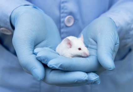 Designerul genetic cum să modifice un mouse