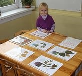 Herbarium propriile mâini