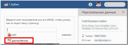 Reglarea selectivă a vizibilității informațiilor pentru un anumit domeniu - webmoney wiki