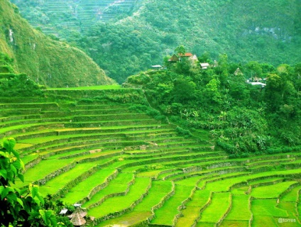 Manilától a banaue-ig, blog