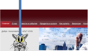 Cum se adaugă animații pe widget-ul site-ului