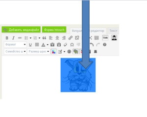 Cum se adaugă animații pe widget-ul site-ului