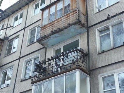 Cum sa scapi de porumbei de pe balcon pentru a lupta