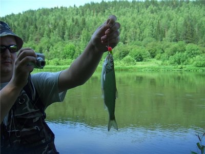 Cum să prindeți peștele în pescuitul Siberiei în Rusia și în întreaga lume