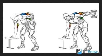 Cum să pompezi tricepsul acasă