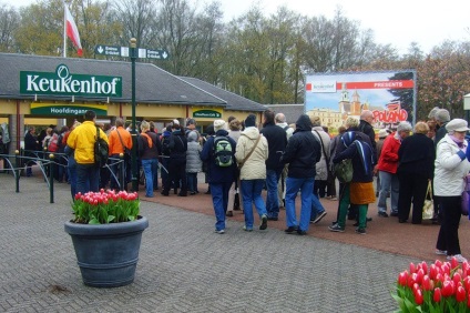 Hogyan juthat el magát a parkban tulipán koykenhof