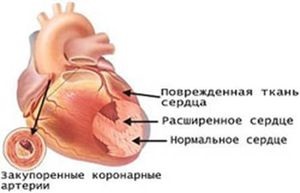 Як ти ставишся до паління сторінка 7 на