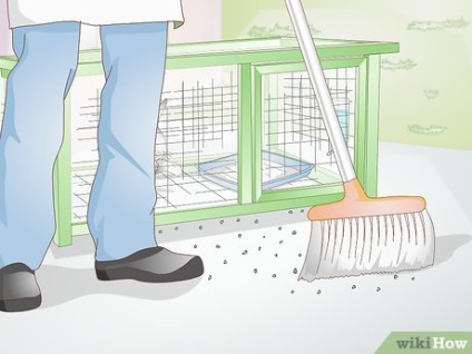 Cum să curățați o cușcă de iepure