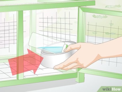 Cum să curățați o cușcă de iepure