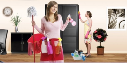 Cum să ștergeți praful - sfaturi pentru curățarea prafului în apartament și apartament