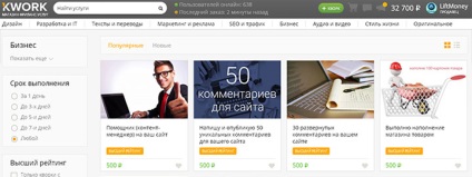 Cum să câștigi bani pe Internet de la 200 la 500 de ruble pe zi