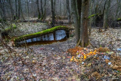 În calitate de rezident al Minsk a decis problema cu o cabana - știri din întreaga lume, știri interesante,