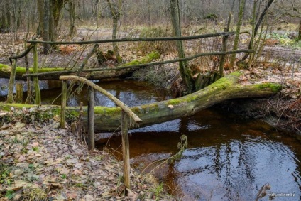 În calitate de rezident al Minsk a decis problema cu o cabana - știri din întreaga lume, știri interesante,