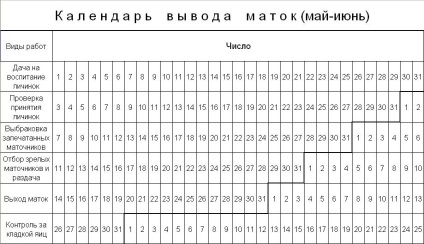 Calendarul producției de regine - albine - catalogul de fișiere - totul despre miere și albine