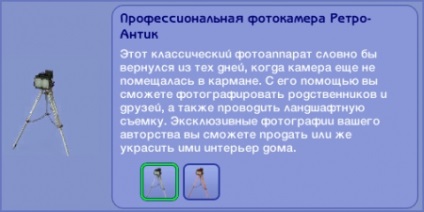 Recompensele de carieră în Sims 2