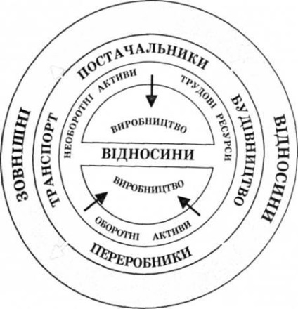 Cooperativul ca formă organizațională - economia întreprinderilor