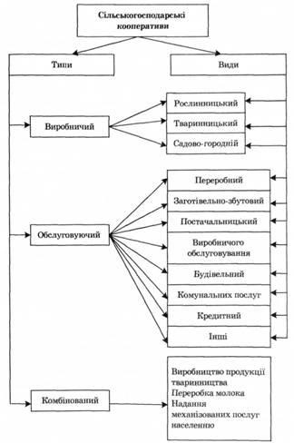 Кооперацията като организационна форма - Бизнес Икономика