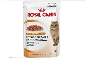 Macskaeledel Royal Canin (Royal Canin) felülvizsgálata, a felülvizsgálatok és árak