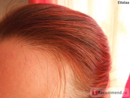 Hair colorant henna natural iranian - 