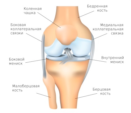 Tratamentul articulației genunchiului pentru o varietate de patologii